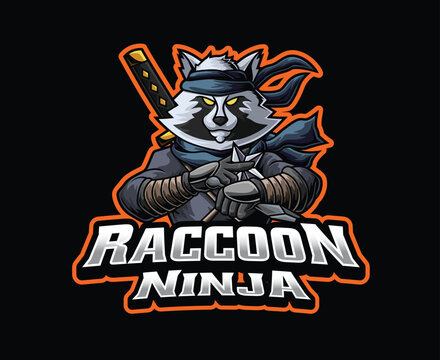 Raccoon Ninja Warrior Mascot Logo Illustration