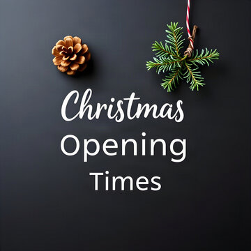 Christmas Opening Times business schedule sign banner with pinecone on dark chalkboard