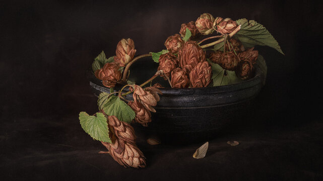 Rustic autumn still life with dried hop cones in a dark ceramic bowl
