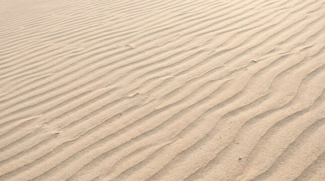 Fine wind-shaped sand ripples extending across the frame, minimalist desert texture photography, cream, pale tan and warm beige palette, delicate parallel lines, soft grazing sunlight, subtle shadows