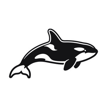 Orca whale silhouette icon featuring a sleek black and white marine mammal shape isolated on a clean white background for graphic design projects and professional wildlife branding vector art