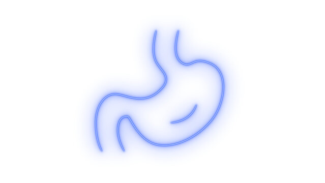 Human stomach colorfull neon line icon representing digestive system health and gastroenterology medical symbol isolated on transparent background for clinic design