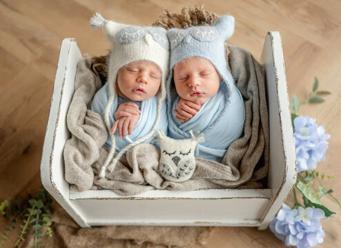 Twin babies wearing owl hats sleep peacefully in a small wooden bed during a daytime session. . Newborn photo session