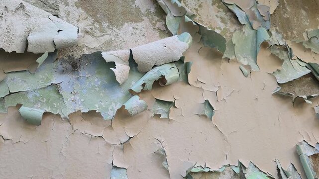 Weathered plaster wall carrying layers of peeling beige and pale green paint, spreading cracks and brittle flakes, evoking neglect, age, and gradual structural decay