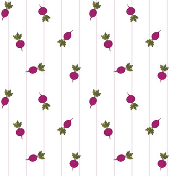 Purple Beetroot Seamless Pattern with Pink Stripes for Healthy Organic Kitchen Textile and Food Packaging Vector Print
