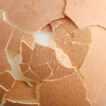 Cracked eggshell reveals soft, pale yolk inside