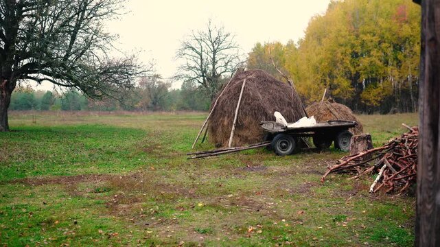 A haystack in a rural village surrounded by autumn forest. Firewood and an old horse trailer stand in a meadow, capturing the peaceful atmosphere of a remote farm far from civilization.