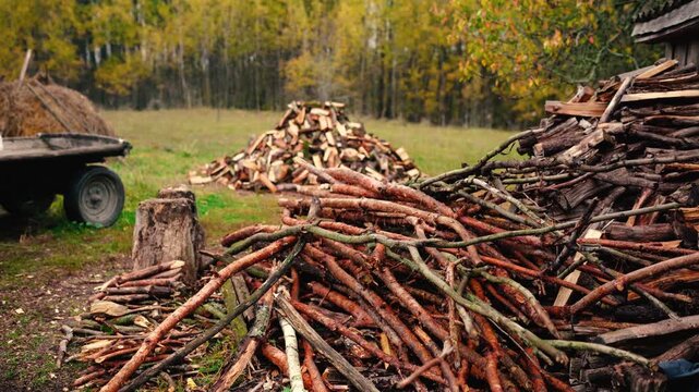 Firewood stacked on a rural farm near an old village cottage surrounded by forest. Traditional wood heating as an alternative energy source for off-grid living without electricity.