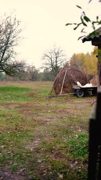 A haystack in a rural village surrounded by autumn forest. Firewood and an old horse trailer stand in a meadow, capturing the peaceful atmosphere of a remote farm far from civilization.
