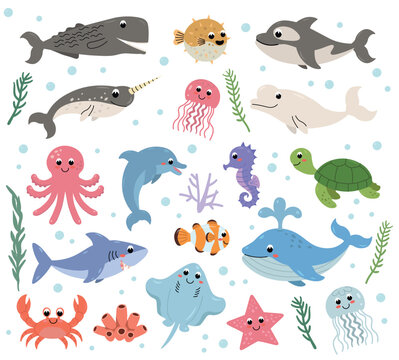 Cute cartoon marine animals collection for children. Perfect for educational projects, children&rsquo;s books, nursery decor, stickers, posters, and playful ocean-themed designs.