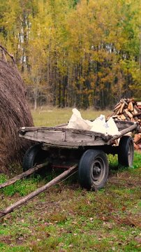 Firewood stacked on a rural farm near an old village cottage surrounded by forest. Traditional wood heating as an alternative energy source for off-grid living without electricity.