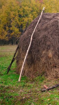 A haystack in a rural village surrounded by autumn forest. Firewood and an old horse trailer stand in a meadow, capturing the peaceful atmosphere of a remote farm far from civilization.
