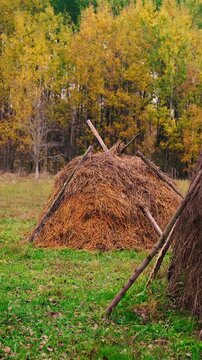 A haystack in a rural village surrounded by autumn forest. Firewood and an old horse trailer stand in a meadow, capturing the peaceful atmosphere of a remote farm far from civilization.