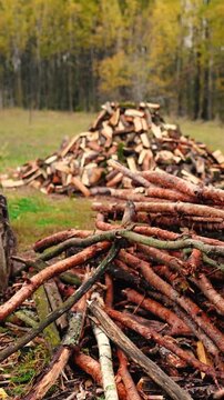 Firewood stacked on a rural farm near an old village cottage surrounded by forest. Traditional wood heating as an alternative energy source for off-grid living without electricity.