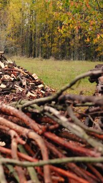 Firewood stacked on a rural farm near an old village cottage surrounded by forest. Traditional wood heating as an alternative energy source for off-grid living without electricity.