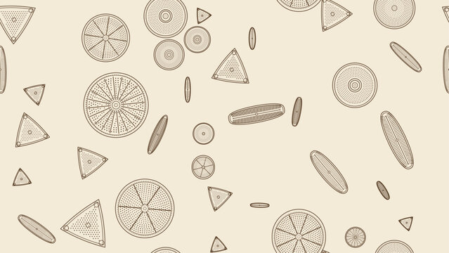 Seamless pattern of vintage ink engraving style diatom specimens in sepia brown on cream paper