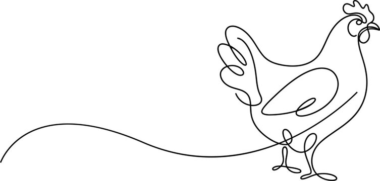 Continuous single line drawing of a chicken hen Vector