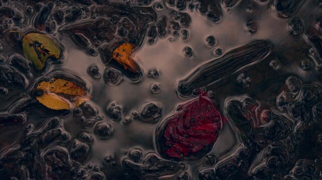 Autumn forest floor background with raindrops on a puddle with autumn leaves