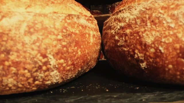 Fresh sourdough bread with golden crust rests on baking tray closeup. Artisan loaves showcase traditional baking methods and homemade quality