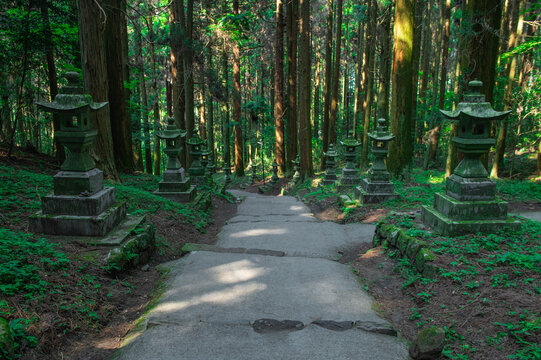 上色見熊野座神社の参道