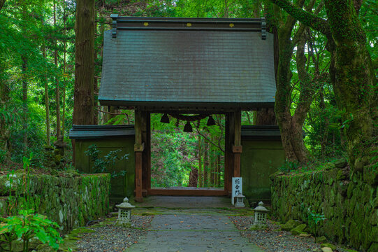 両子寺の山門と参道