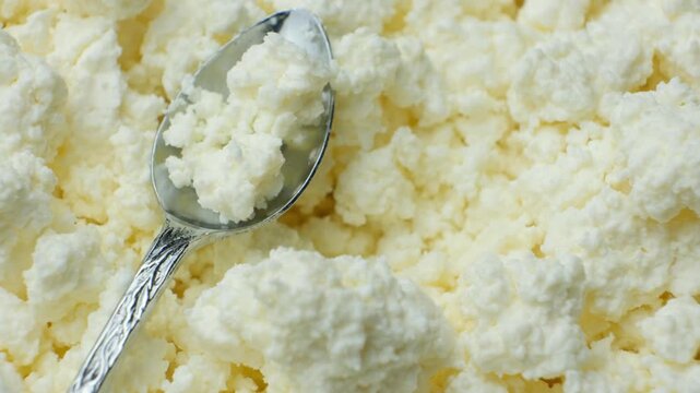 Fresh cottage cheese in a spoon with curd background close up