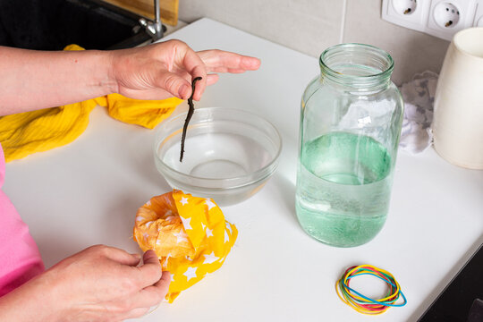 A woman carefully transfers medicinal leeches from a bag of peat into a jar of water. This process is part of hirudotherapy for health and wellness treatments