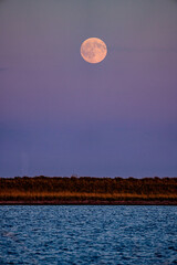 夕日を浴びて上り始めた満月 © icebergpicture