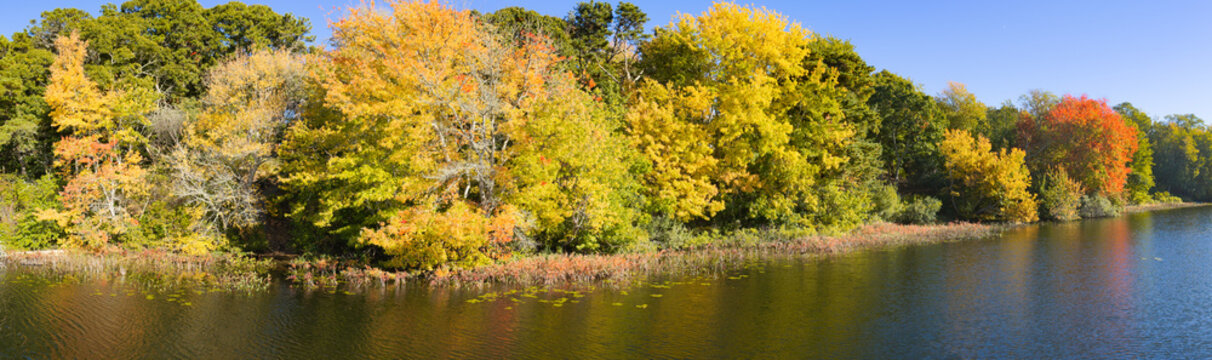 Colorful autumn foliage is found fringing Pilgrim Lake in Orleans, Massachusetts. This scenic destination is on the outer part of Cape Cod, not far from the Atlantic Ocean.