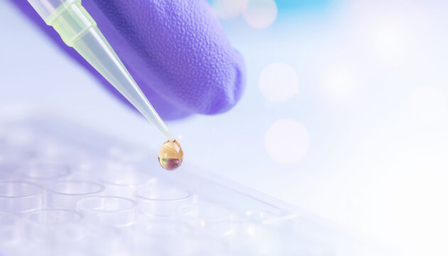 Laboratory pipette holding a liquid droplet above a microplate
