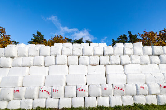 Nykoping, Sweden Large stacked hay bales wrapped in white plastic.