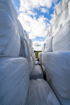Nykoping, Sweden Large stacked hay bales wrapped in white plastic.
