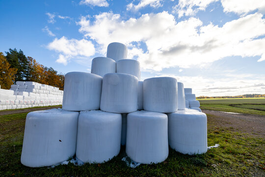 Nykoping, Sweden Large stacked hay bales wrapped in white plastic.