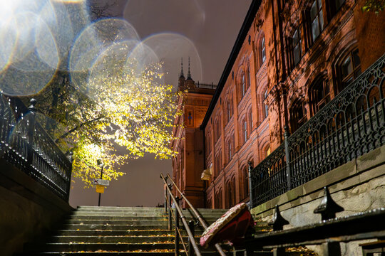 Stockholm, Sweden A night view in autumn of trees and shadows on the facade of the old Sodra Latin high school in the Sodermalm district.