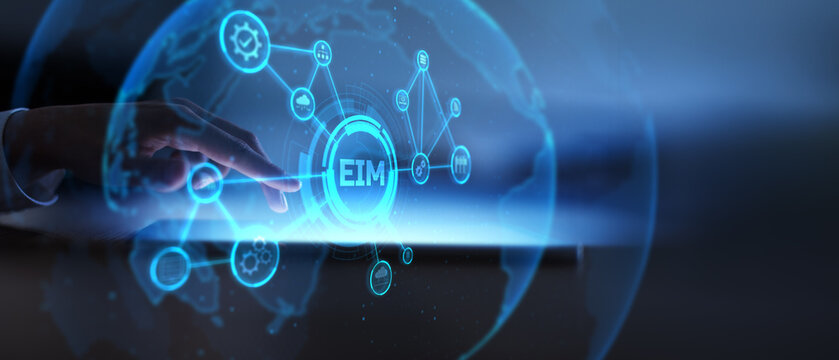 EIM Enterprise Information Management System for Business Data Organization and Workflow