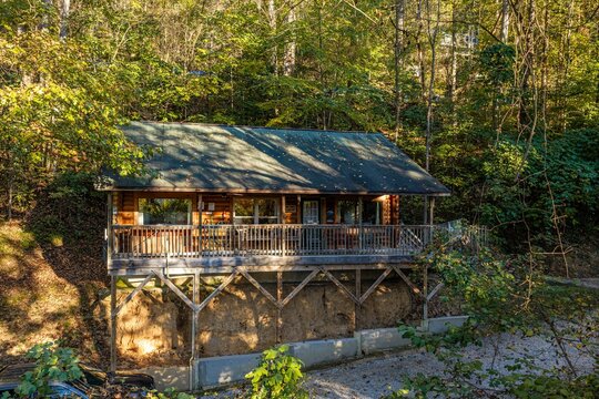 Cabin in the woods