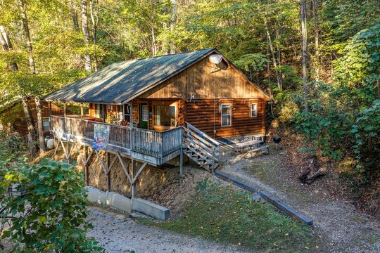 Cabin in the woods