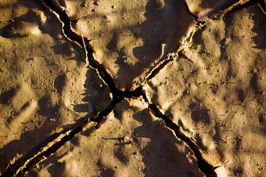Cracked clay earth texture with dried mud fissures under golden sunset light, highlighting a rough parched surface pattern of a desert landscape in a top-down view closeup