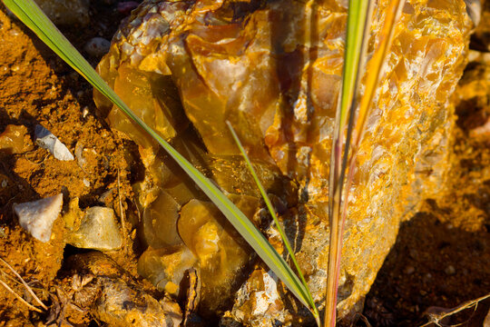 Bright amber chalcedony nodule gleams in sandy quarry pit, raw gemstone nugget glows under harsh sun rays among wild grass blades