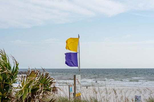 Yellow and Purple Beach Warning Flags on Florida Gulf Coast
