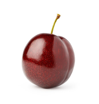 Ripe red plum with stem isolated on a white background