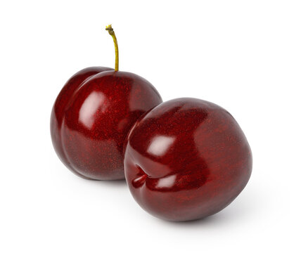 Two ripe red plums isolated on a white background