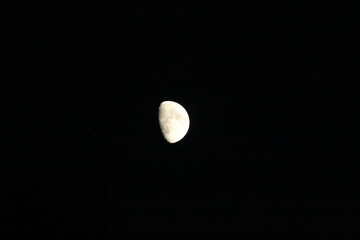 full moon in the night © Ashley