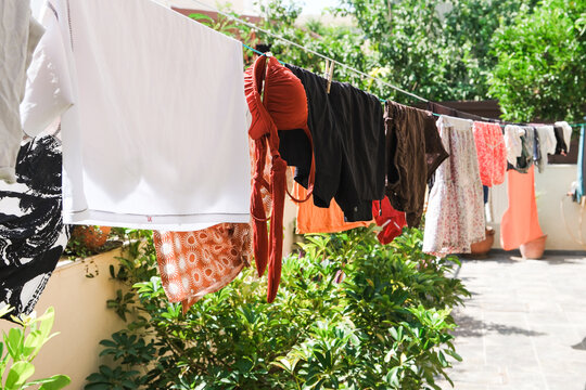 Clothes Drying in a Garden on a Sunny Day