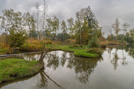 autumnal colored trees on vegetated lakeshore, lake with recreatonal place in Rhein valley, autumnal colored trees with orange and red leaves
