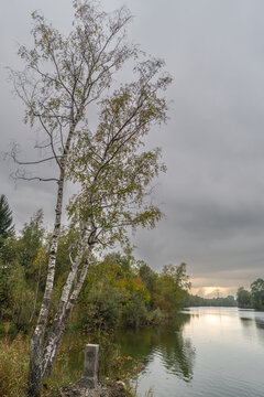 autumnal colored trees on vegetated lakeshore, lake with recreatonal place in Rhein valley, autumnal colored trees with orange and red leaves