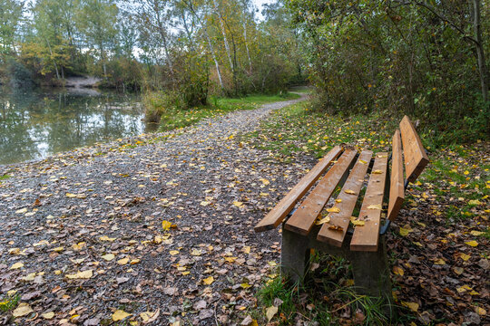 autumnal colored trees, recreatonal place in Rhein valley, with orange and red leaves, yellow grass and gravel road, park bench or barbecue place