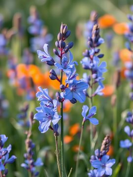 Blue flax blooms dance across watercolor page, flora, botany