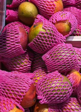 Mangoes in Pink Fruit Net