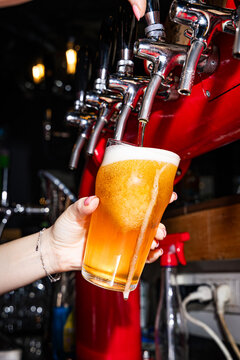 Beer